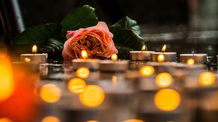 Mainz: Eine Rose liegt zum stillen Gedenken für Susanna zwischen Teelichtern.