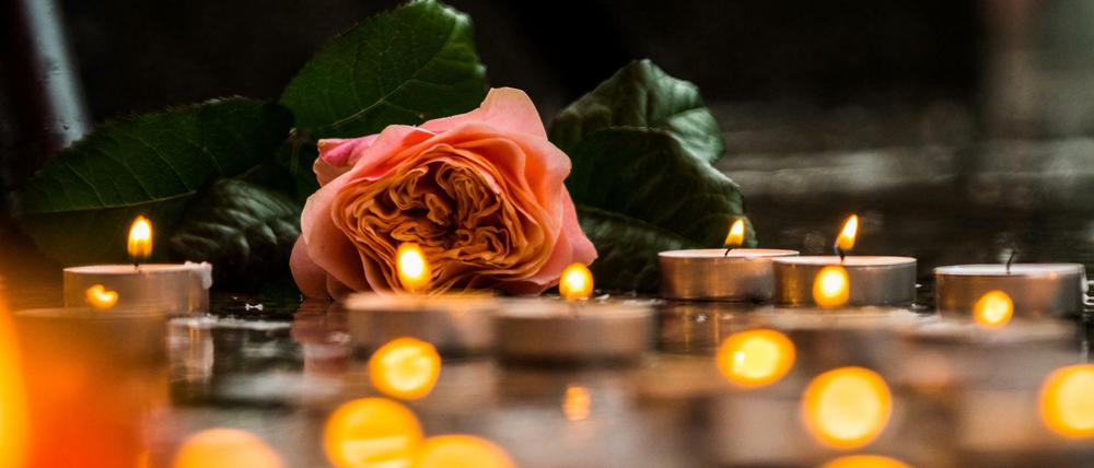 Mainz: Eine Rose liegt zum stillen Gedenken für Susanna zwischen Teelichtern.