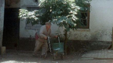 Entschleunigt euch. Willi, der alte Bauer, in "Aus einem Jahr der Nichtereignisse".