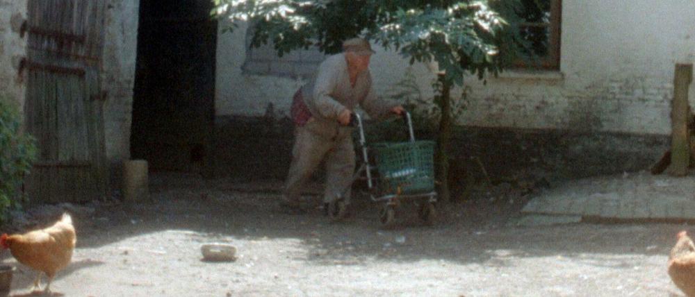 Entschleunigt euch. Willi, der alte Bauer, in "Aus einem Jahr der Nichtereignisse".