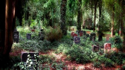 Friedhof "In den Kisseln" in der Pionierstrasse 82-156 in Spandau.