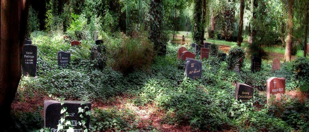 Friedhof "In den Kisseln" in der Pionierstrasse 82-156 in Spandau.