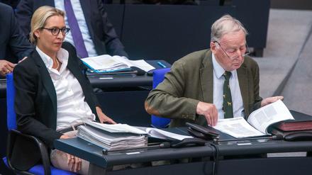 Politische Nutznießer: Alice Weidel und Alexander Gauland, Fraktionsvorsitzende der AfD.