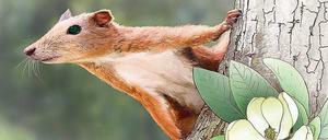 Purgatorius heißt dieser Primat, was „Der aus dem Fegefeuer“ bedeutet. Das spielt auf die Katastrophe an, die vor 66 Mio. Jahren den Dinos das Licht ausknipste.