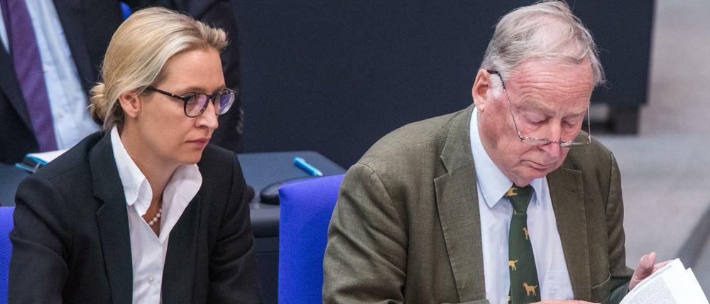 Alice Weidel und Alexander Gauland, Fraktionsvorsitzende der AfD, wollen vom Regierungsstreit profitieren.