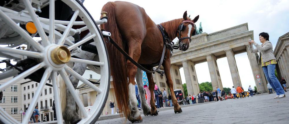 Touristen dürfen weiterhin am Brandenburger Tor in die beliebten Kutschen einsteigen.