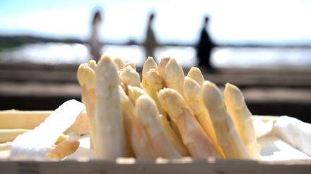 Der Pro-Kopf-Verbrauch in Deutschland liegt rechnerisch bei 1,5 Kilo Spargel im Jahr.