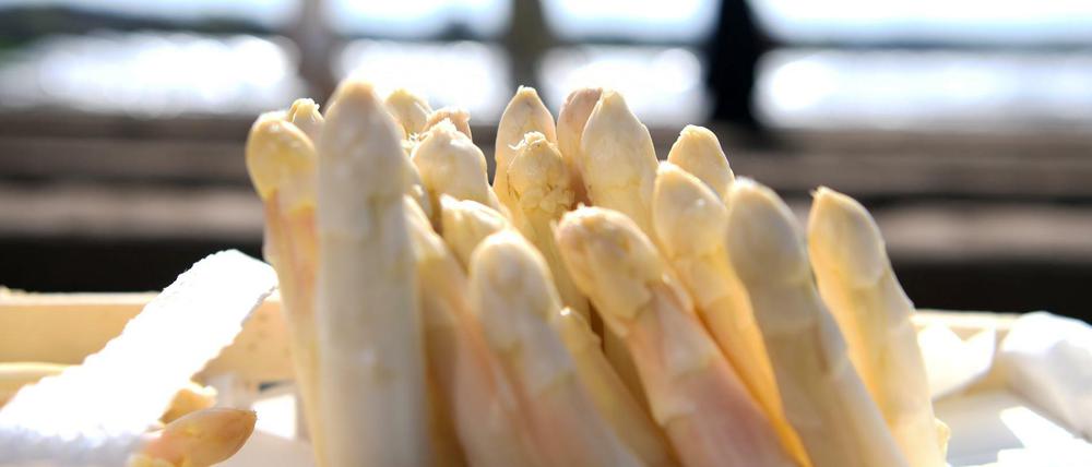 Der Pro-Kopf-Verbrauch in Deutschland liegt rechnerisch bei 1,5 Kilo Spargel im Jahr.