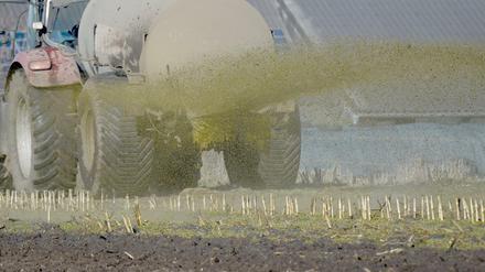 Ein Traktor mit Gülleanhänger versprüht die Gülle.
