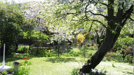 Dieser Kleingarten in Wilmersdorf musste 2011 einer Nobelbebauung Platz machen.