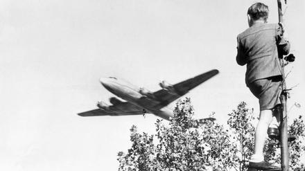 Ein Junge verfolgt von einem Baum aus den Landeanflug eines US-Transportflugzeugs auf den Flughafen Tempelhof.