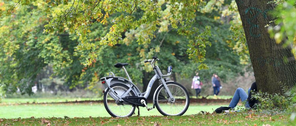 Damit es in Berlin grün bleibt, brauchen Bäume Unterstützung.