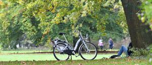 Damit es in Berlin grün bleibt, brauchen Bäume Unterstützung.