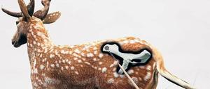 Stoßrichtung. Forscher stellen Jagdszene der Neandertaler nach. 