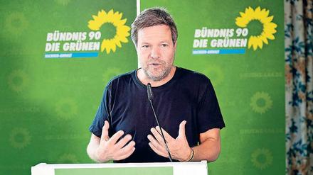 Besorgt. Grünen-Chef Habeck zweifelt am Kurs der Union. 