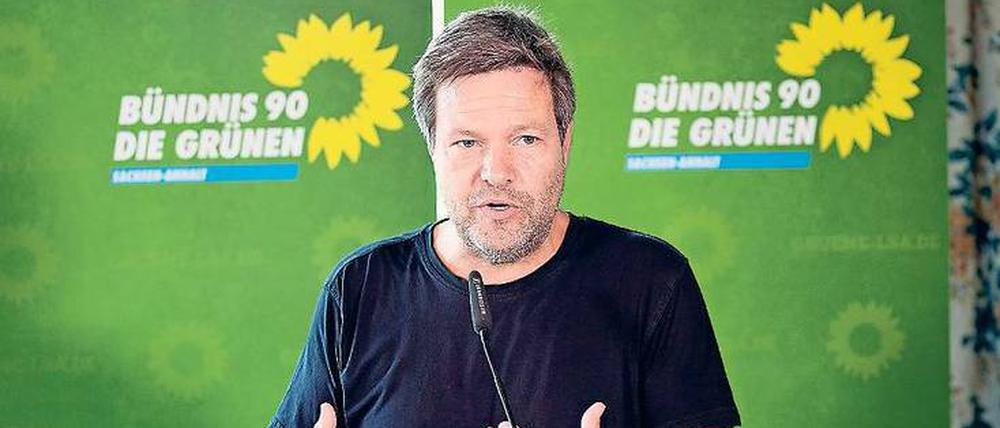 Besorgt. Grünen-Chef Habeck zweifelt am Kurs der Union.