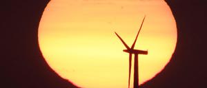 Bisher nutzen nur wenige Berliner das Ökostrom-Angebot der Stadtwerke.