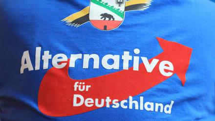Teile der AfD stehen weit rechts. Manche werfen ihr deshalb eine Nähe zum Nationalsozialismus vor.