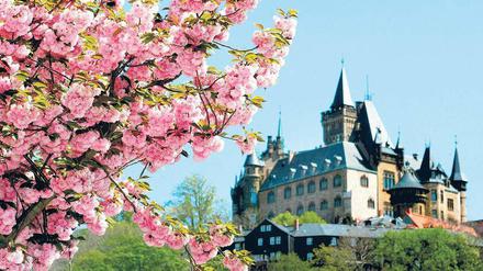 Warmwetterblick auf das Schloss Wernigerode.