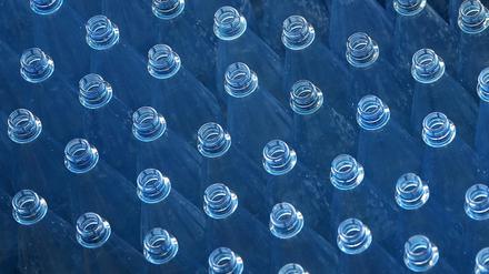 Leere PET-Mehrwegflaschen für Mineralwasser stehen auf einem Transportband einer Abfüllanlage. 