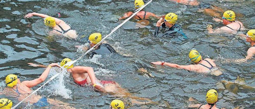 Mit gelben Badekappen stürzten sich beim 4. Flussbad-Pokal hunderte Tapfere in den Spreekanal.