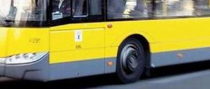 Fehlalarm am Morgen.