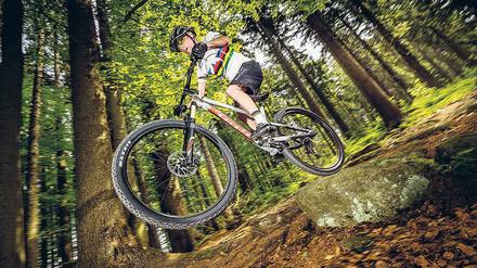 Wurzelbehandlung. Viele Trails in Tschechien integrieren natürliche Hindernisse, um den Fahrspaß zu erhöhen.