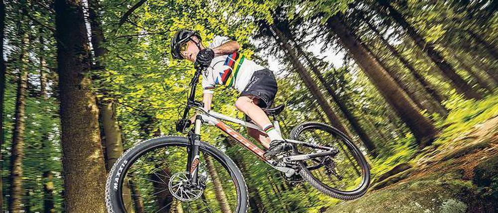 Wurzelbehandlung. Viele Trails in Tschechien integrieren natürliche Hindernisse, um den Fahrspaß zu erhöhen.