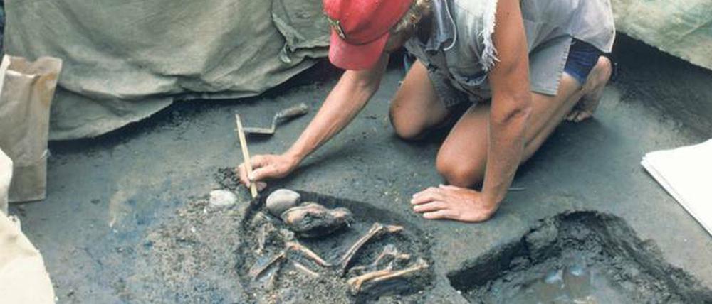 Kalter Hund. Freilegung eines 9900 Jahre alten Skeletts in Illinois. 