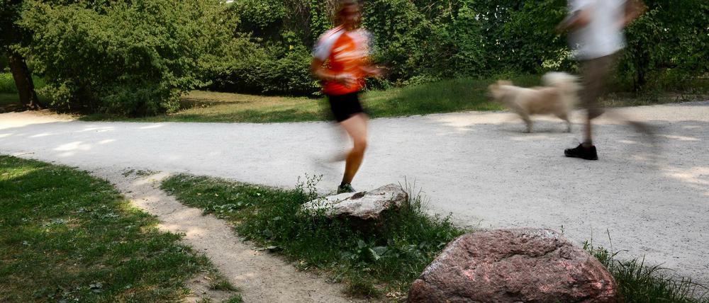 An dieser Stelle im Volkspark Wilmersdorf brach der Unbekannte zusammen.