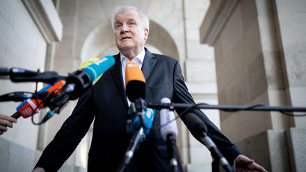 Bundesinnenminister Horst Seehofer (CSU) am Donnerstagabend.