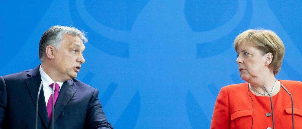 Ungarns Regierungschef Viktor Orban mit Bundeskanzlerin Angela Merkel bei der Pressekonferenz im Kanzleramt. 
