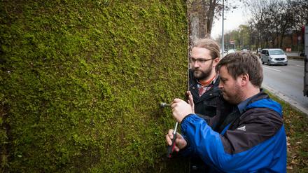 Mit der Testwand in Stuttgart wurden schlechte Erfahrungen gemacht. Das Moos fiel schließlich ab.