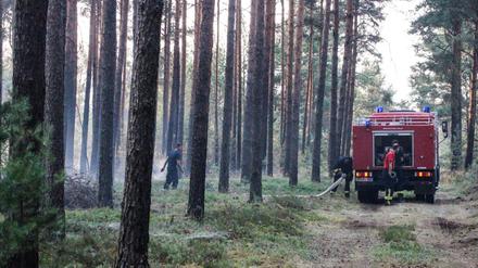 Feuerwehrleute löschen Glutnester beim Waldbrand auf dem ehemaligen Truppenübungsplatz in der Lieberoser Heide.