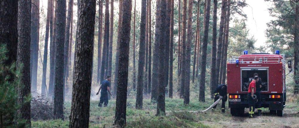 Feuerwehrleute löschen Glutnester beim Waldbrand auf dem ehemaligen Truppenübungsplatz in der Lieberoser Heide.