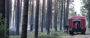 Feuerwehrleute löschen Glutnester beim Waldbrand auf dem ehemaligen Truppenübungsplatz in der Lieberoser Heide.