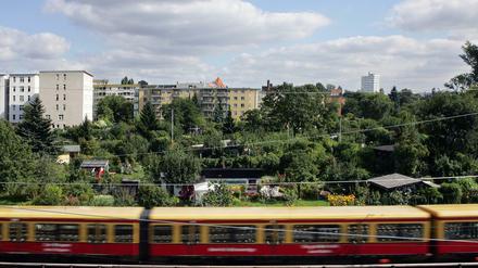 Kleingärten sind für viele Berliner eine zweite Heimat. 