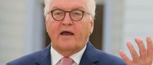 Bundespräsident Frank-Walter Steinmeier