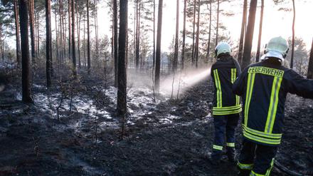 Feuerwehrleute löschen am 5. Juli Glutnester auf dem ehemaligen Truppenübungsplatz in Südbrandenburg.