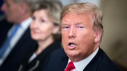 Donald Trump, Präsident der USA.
