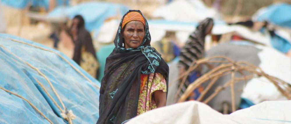Flüchtlinge aus Mali im Niger.