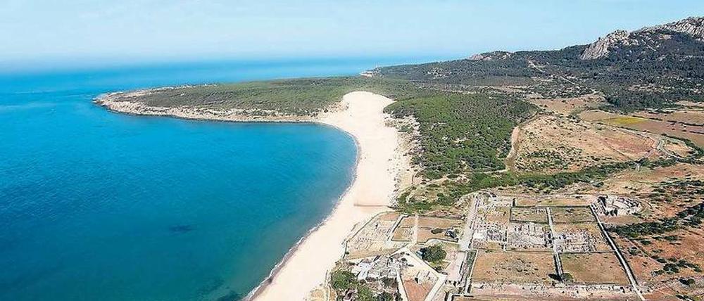 Waldorf. In der antiken römischen Siedlung Baelo Claudia (nahe Tarifa in Andalusien) wurde neben Fisch wohl auch Wal verarbeitet.
