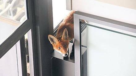 Schnappschuss im Vip-Bereich.