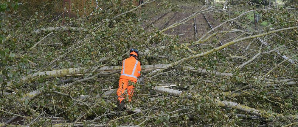 Solche Schäden wie beim Sturm Xavier im vergangenen Jahr will die Bahn mit einem Aktionsprogramm vermeiden. Es ist auf fünf Jahre angelegt.