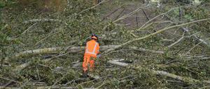 Solche Schäden wie beim Sturm Xavier im vergangenen Jahr will die Bahn mit einem Aktionsprogramm vermeiden. Es ist auf fünf Jahre angelegt.