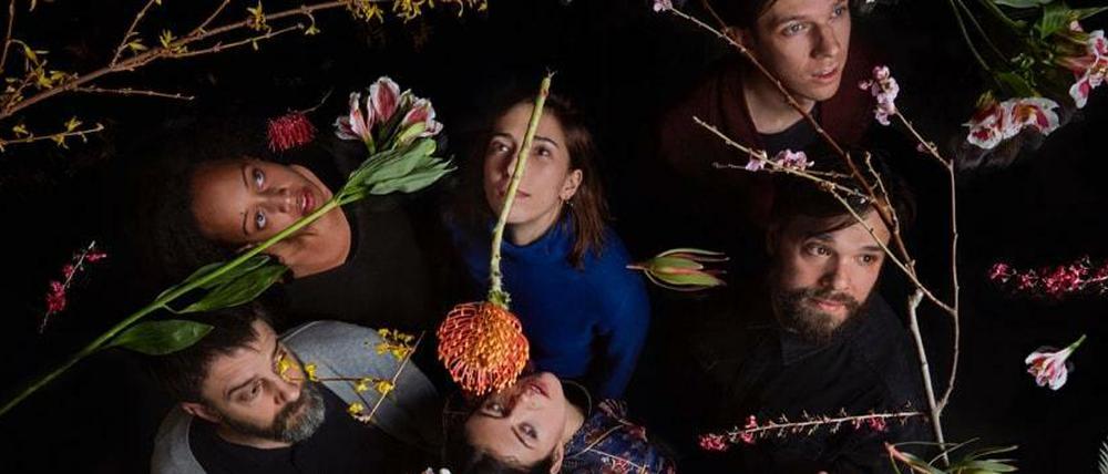Organisiertes Chaos. Mit ihrem neuen Album "Lamp Lit Prose" setzen die Dirty Projectors zu einem Feuerwerk der Reminiszenzen an.