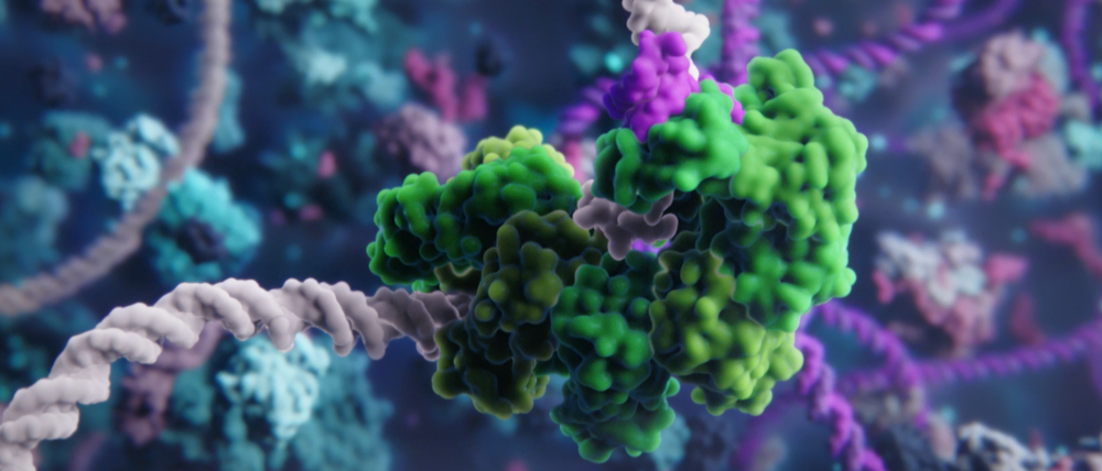 Die Gen-Schere Crispr (grün) kann den Erbgutfaden (grau) präzise schneiden, macht aber auch erstaunliche und möglicherweise für klinische Anwendungen gefährliche Fehler, haben britische Forscher herausgefunden. 