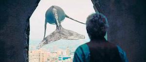 Der Friedhofswärter (Juan Margallo) flüchtet sich in die Imagination.