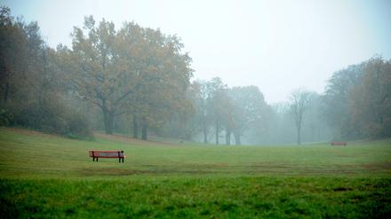 In der Hasenheide findet samstags der parkrun statt.