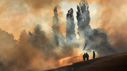 Feuerwehrleute löschen Anfang Juli in Mecklenburg-Vorpommern ein Getreidefeld, das in Flammen steht. 